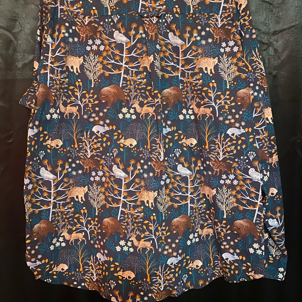 Duluth Trading Co Women's Button Down Shirt - Blue and Brown - Picture 5 of 10